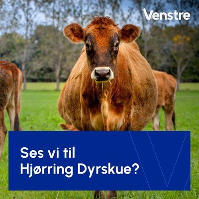 VENSTRE PÅ HJØRRING DYRSKUE 2026